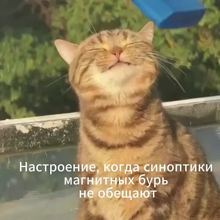 ��������� ���� � 21 �� 27 ����