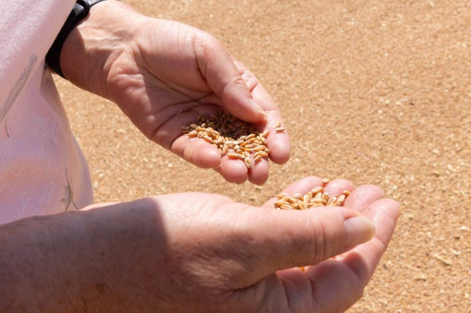 ������� ����� ���������� ������� ���� ������ �������� � ������������ �������