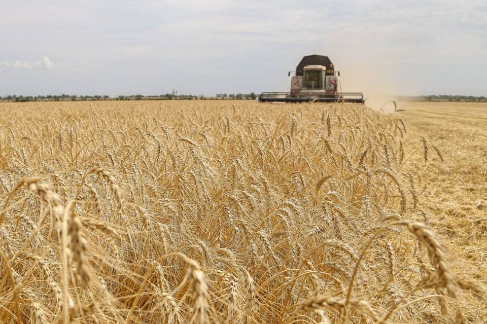 ������� ����� ���������� ������� ���� ������ �������� � ������������ �������