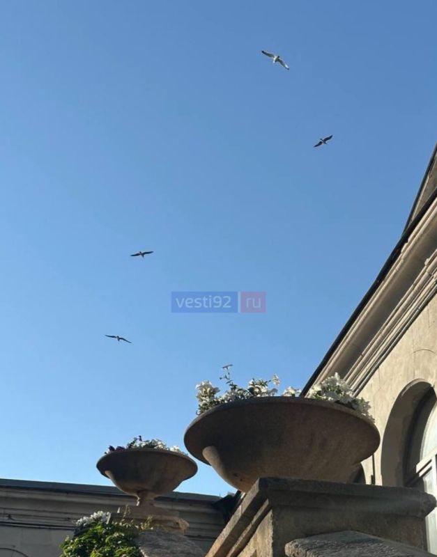 ������ ����, �����������!. ��������� ������� ����� ����