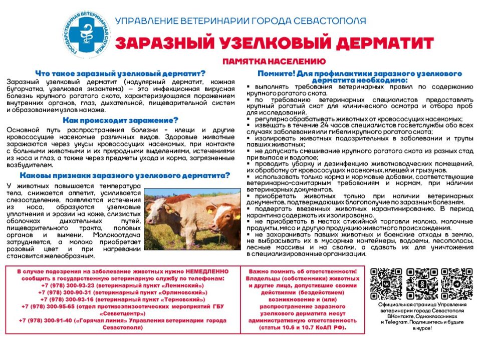 ���������� ����������� ������ ����������� ��������: