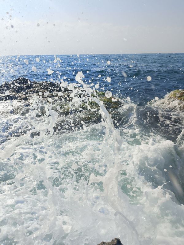 Всем доброго вторника!. В Севастополе 22 июля ветер ночью юго-восточный 3-8м/с, днем юго-западный 5-10м/с