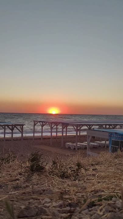 ������� ������ ����� �� ����