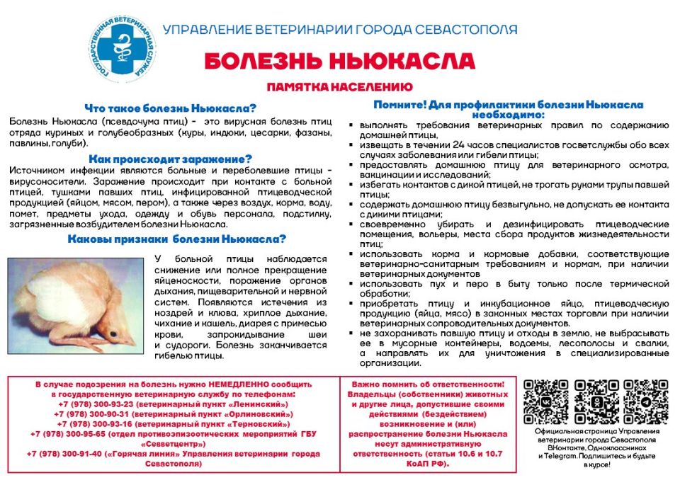 Управление ветеринарии города Севастополя сообщает: