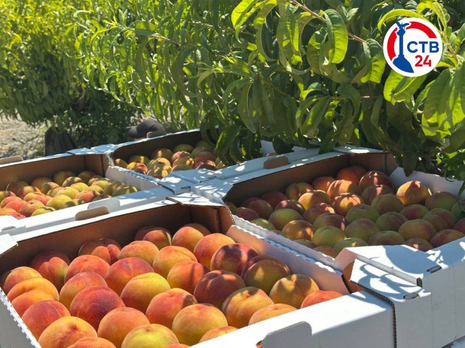 ����� � ��������������� ����� ������� ����� 50 ���� ��������