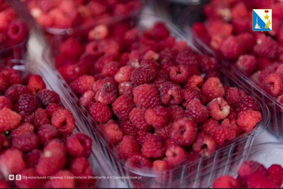 Три севастопольских фермера выиграли гранты «Агростартап»