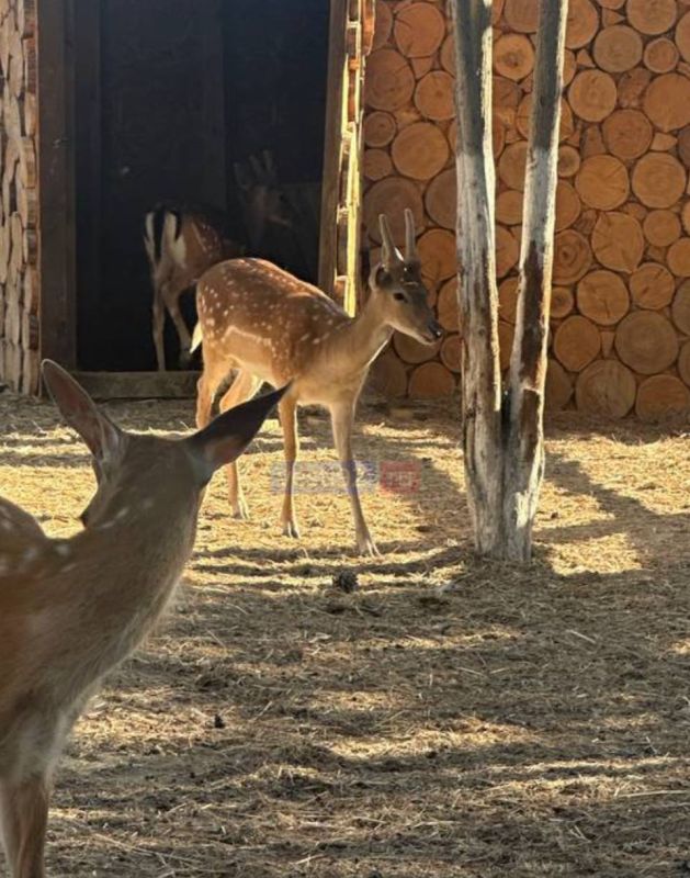 Доброе утро, Севастополь!. Сегодня будет солнечно в течение всего дня