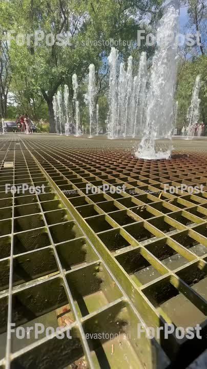 #Нам_пишут. Вот такая "шикарная" зелень завелась в фонтане в сквере 60-летия СССР