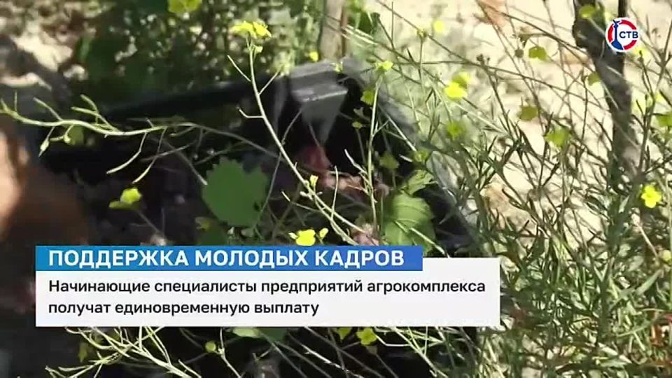 Город, идущий вперёд: начинающие специалисты предприятий агрокомплекса получат единовременную выплату