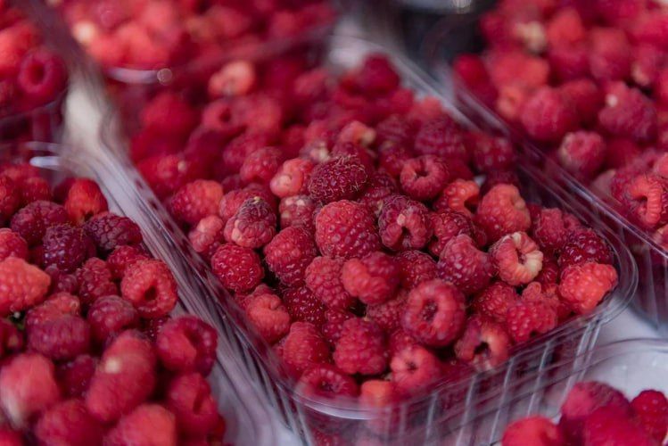 В Севастополе поддерживают местных аграриев