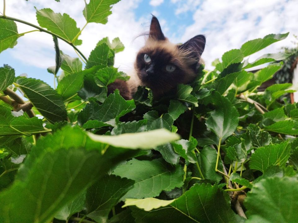 Прогноз погоды в Крыму на 22 июля