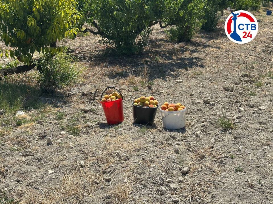 ����� � ��������������� ����� ������� ����� 50 ���� ��������