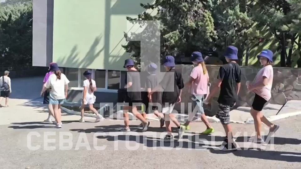 В «Ласпи» – плановая проверка депобразования Севастополя