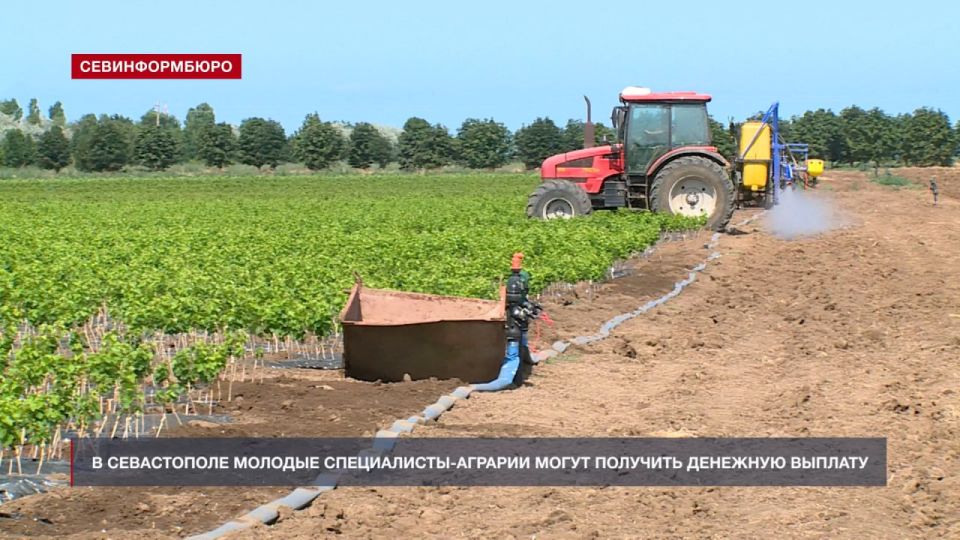В Севастополе молодые специалисты-аграрии могут получить выплату в 250 тысяч рублей