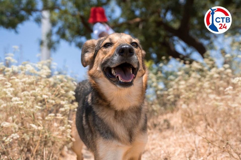 ��������������� ���������� ����������, ��� ������ �������� � ����