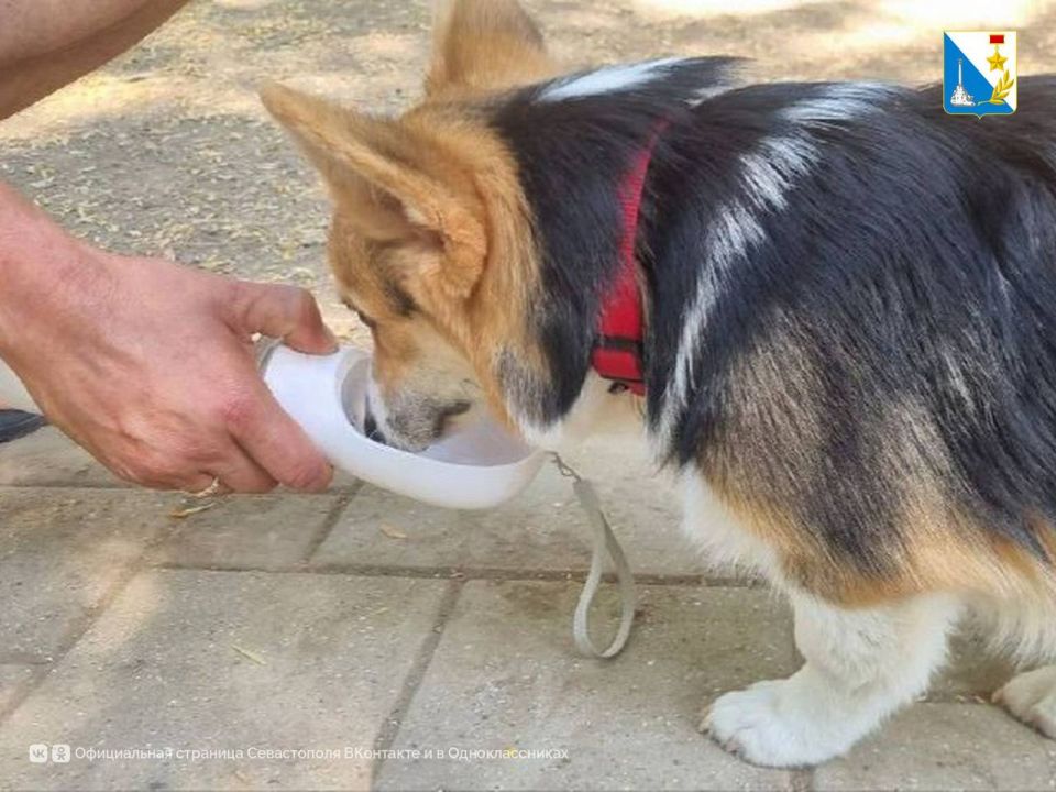 ��� ������ �������� �������� � ����?