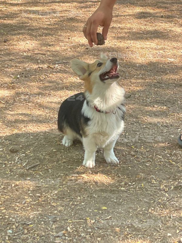 ���������� ������������� � � ����������� ����� ������ ����� ���� ������