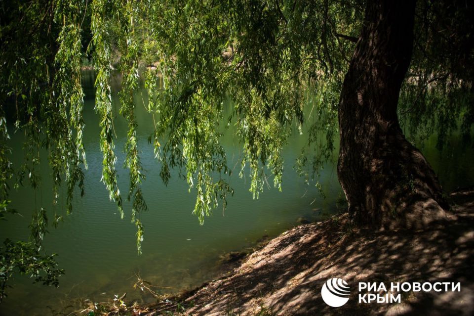 ������� ������ � ����� �� �����