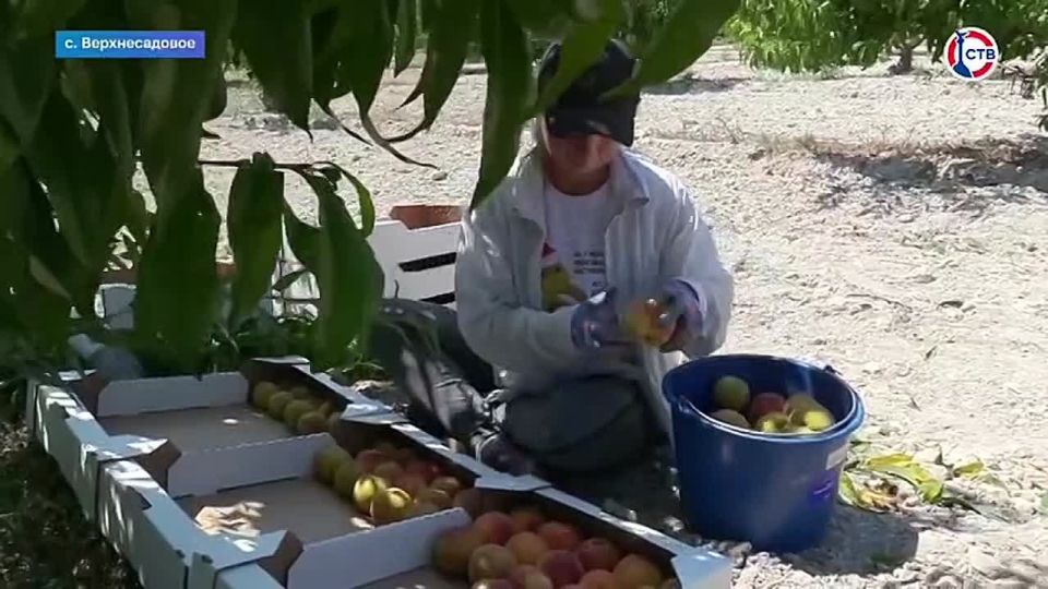 �� ����� �� ������������������ ����������� � ���� ������ ������� 50 ���� ��������