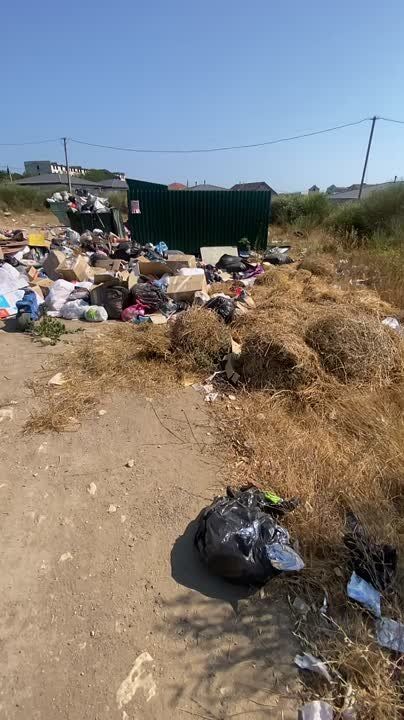 #���_�����. �������, ������������ ����� 116 �. ����� �� ������� ��� 3 ������! ����� ������ ����