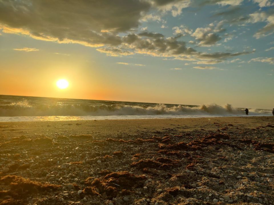 ���-�� ��� ����� �����,. ��� �������� �� ����