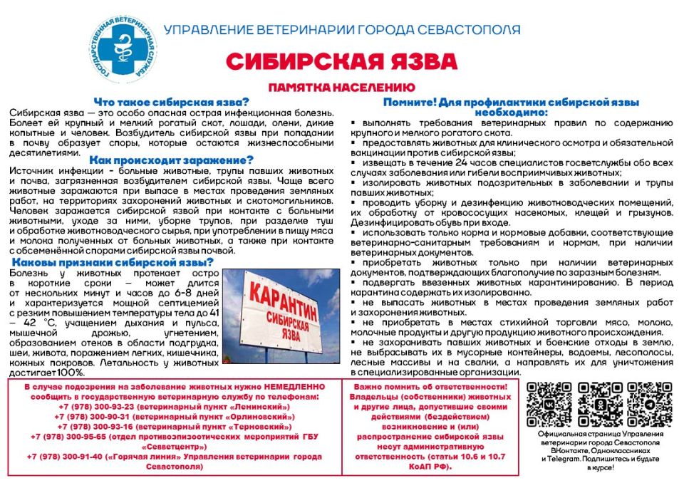 ���������� ����������� ������ ����������� ��������: