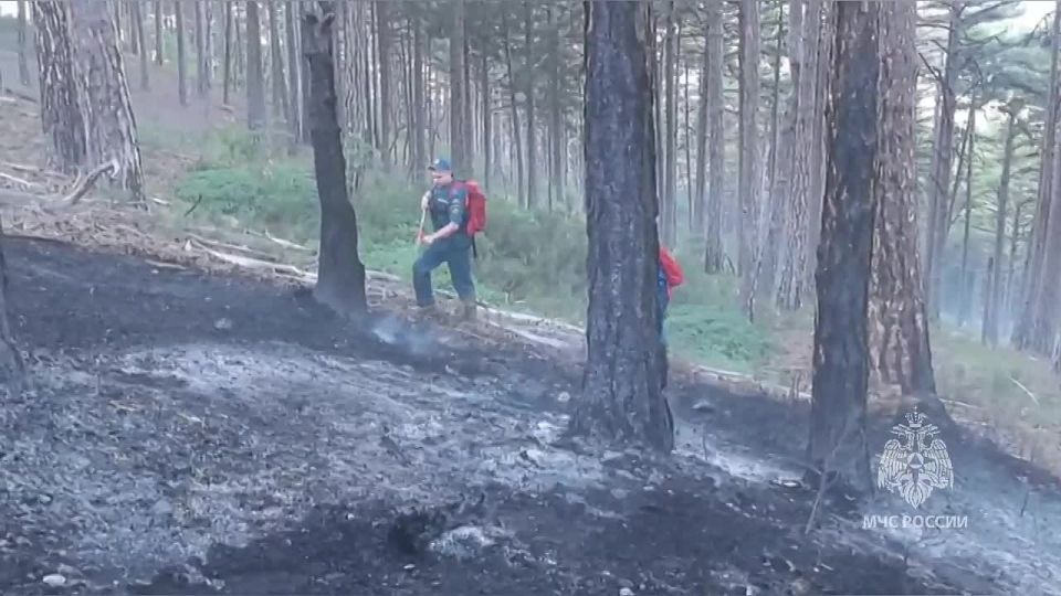 Ночная борьба с огнём на горе Иограф под Ялтой