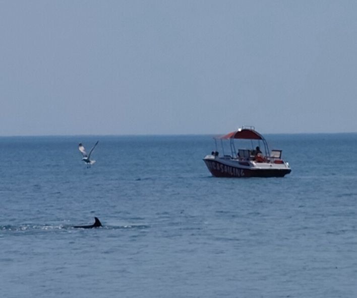 ���� ����� � ��������� ����������!