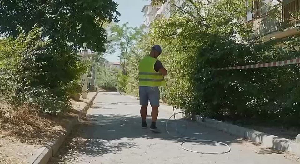 � ����������� ������������� ������ 33 ��������������� �����