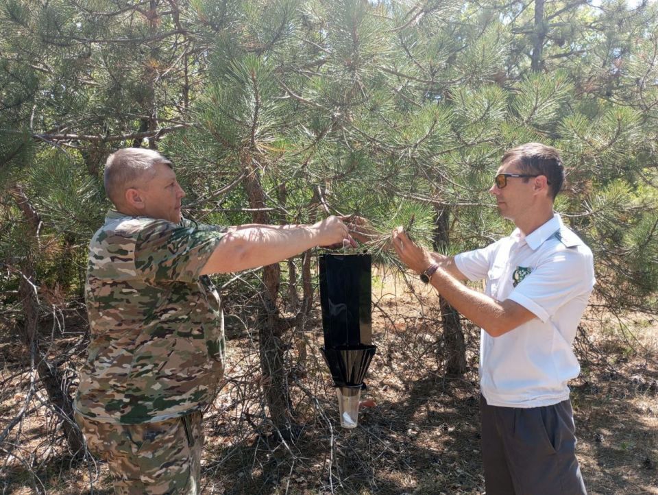 � ������ ����������� ������������ ��������������� ��������� �� 2025 ���, ���������� �������������� ����������� � ����������������� ���������� ���������� ������� ��� ��������� ����������