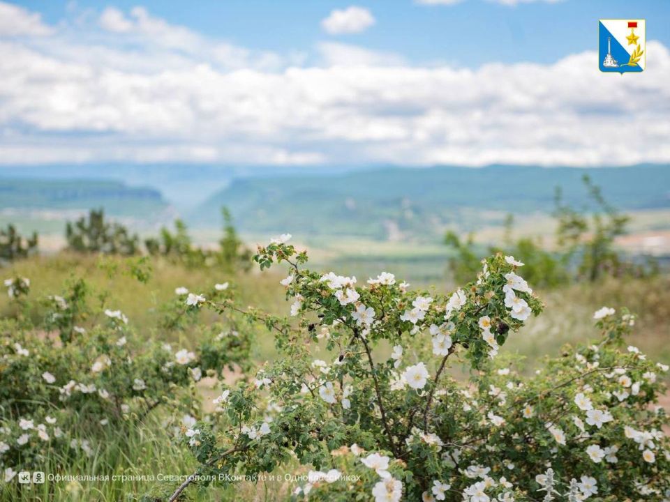 ������������� ������ �������� ����� ���������� ��������� ����������