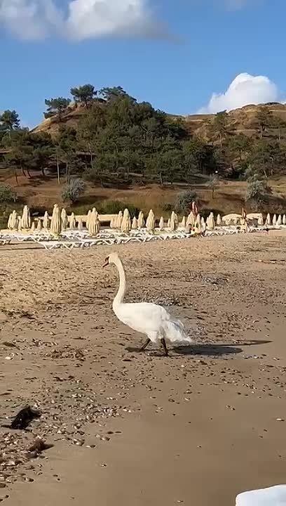 ������ �� ���������: ��������� ����� �� ������� ��������