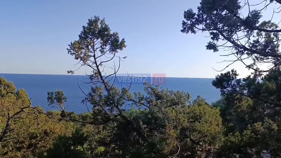 ������ ����, �����������!. ������� ����� �������� � ������� ����� ���