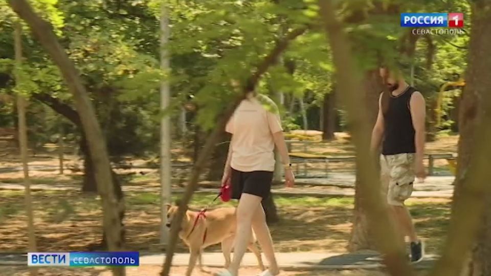 � � ���, ��� ��������� � �������� ��������, ������� ���������� ������������ �����