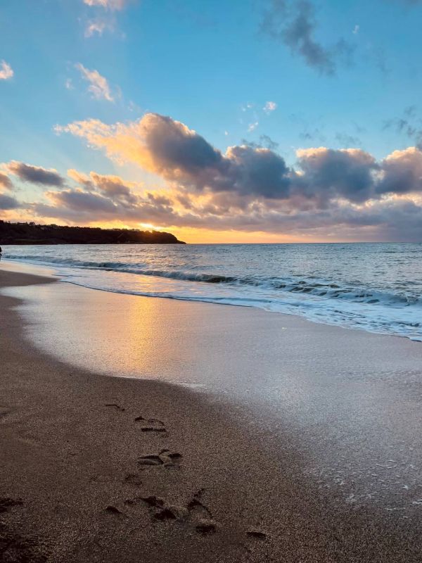 � ����������� ����.. ���� +31, ����� �� 22 �������� �����. ����� ��������, �� 4 ������ � �������