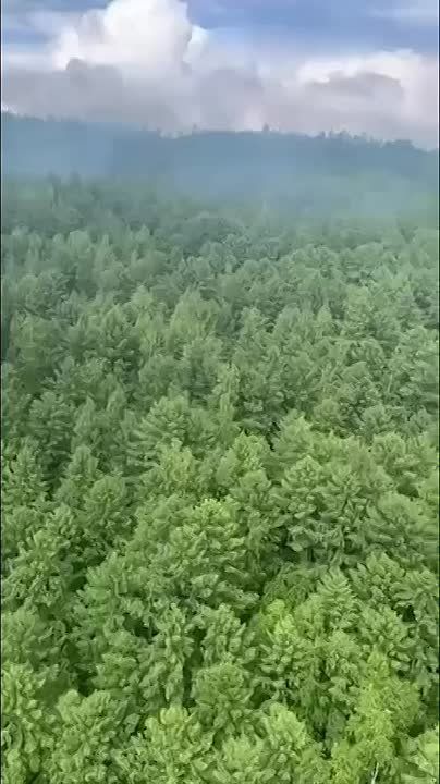 ��������� �������� � ��������� ��-24 ���������� �� ������� ������� � ����