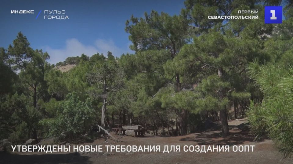 В Севастополе утвердили новые требования к экоисследованиям, которые обосновывают необходимость создания ООПТ регионального значения