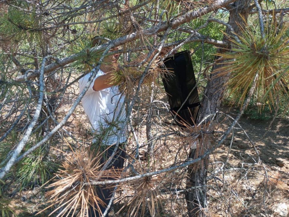 � ������ ����������� ������������ ��������������� ��������� �� 2025 ���, ���������� �������������� ����������� � ����������������� ���������� ���������� ������� ��� ��������� ����������