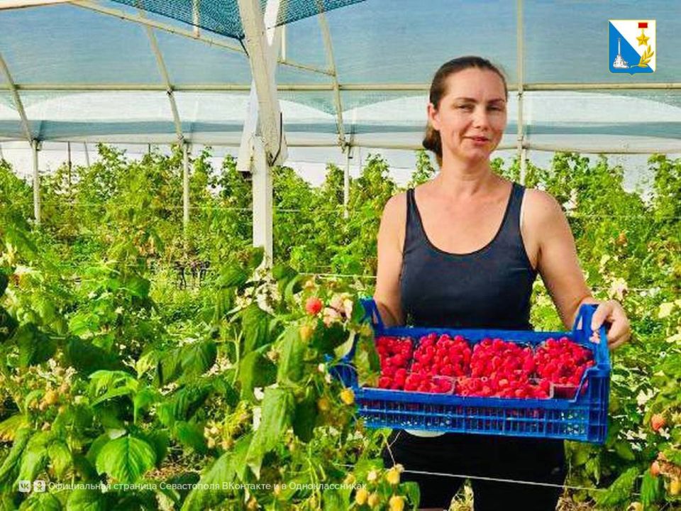 ��������������� ��������� ������ ���� ������