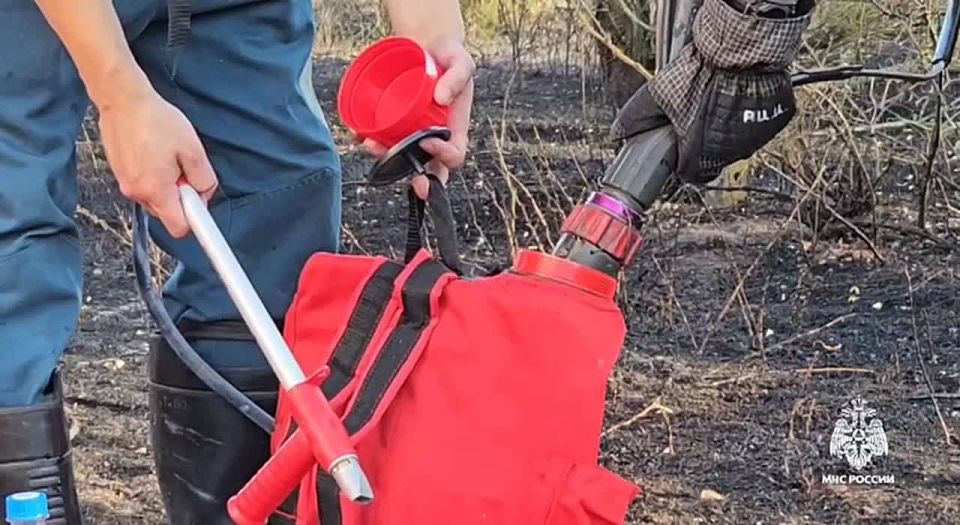 � �������� ����� ����������� ����� �� 56 �������� � ���