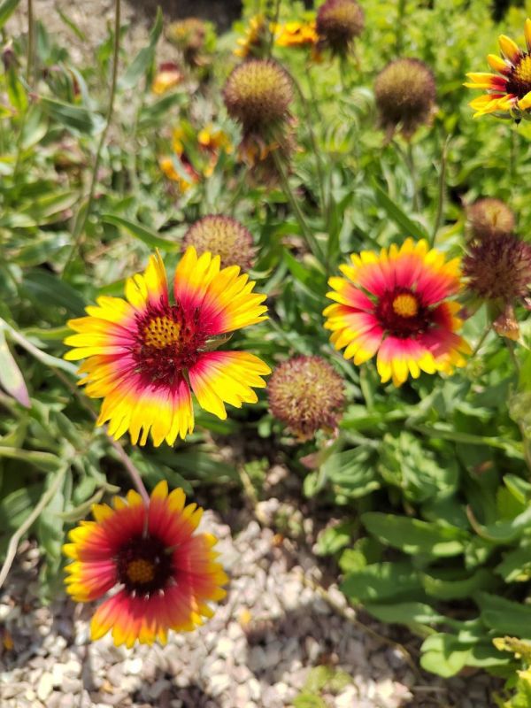 #��� ��� ������?. ���� ����� ����������� ���������� � ���� ��������� "���������" � ������������ ��������