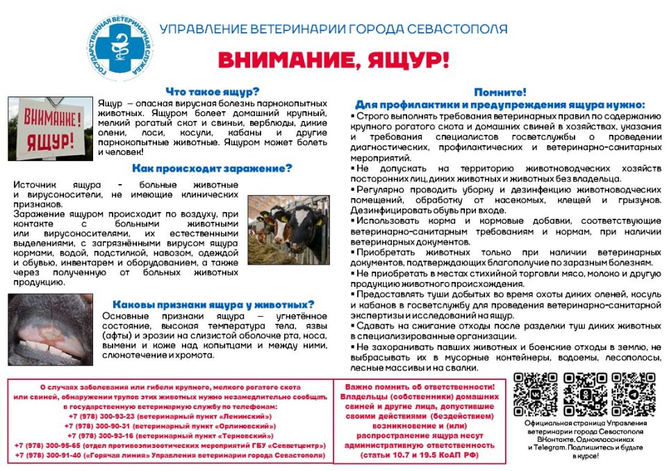 ���������� ����������� ������ ����������� ��������: