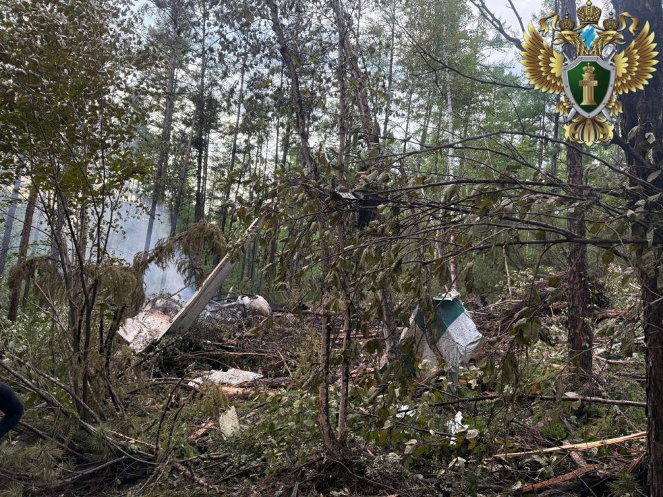 ���� � ����� �������� ��-24 � ��������� ������������ ��������������� ������������ �����������