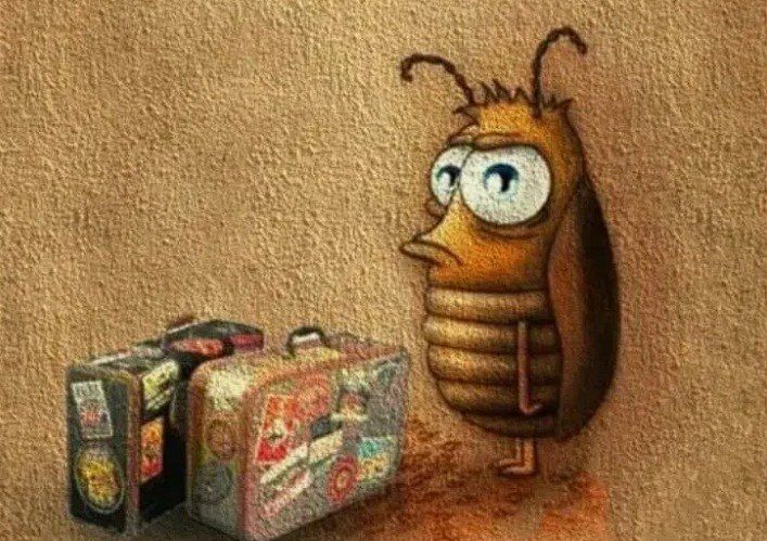 �� 1-� ����������� ����������� �������� ���������