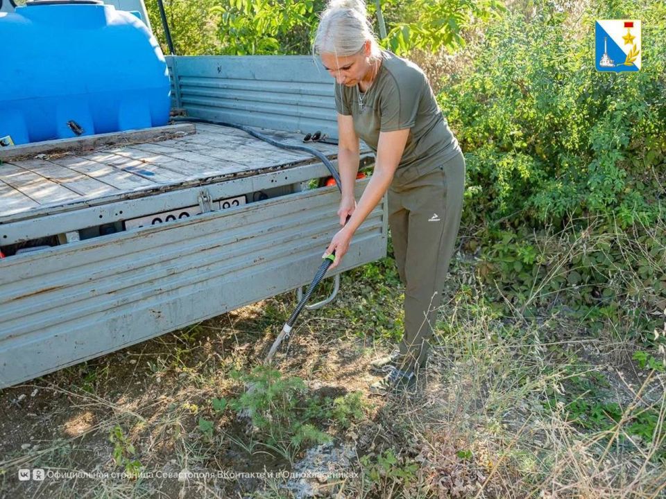 ���������� ����������� ��������� � ����� ������