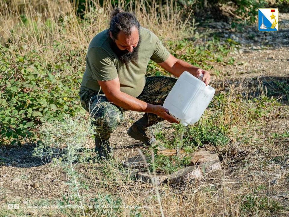 ���������� ����������� ��������� � ����� ������