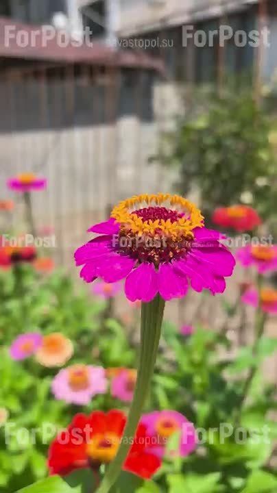 ��������� ������� � ����� ������ ����: ����������� �� ������ ������������ ����