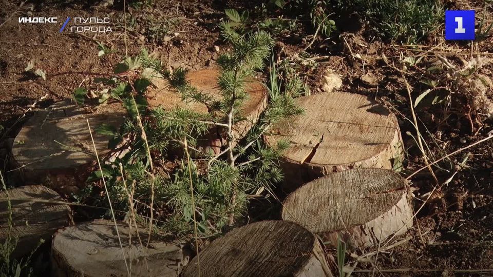 ���������� ������� ����������� ��������� �� ������ ������, ���������� � ����� 80-����� ������� ������