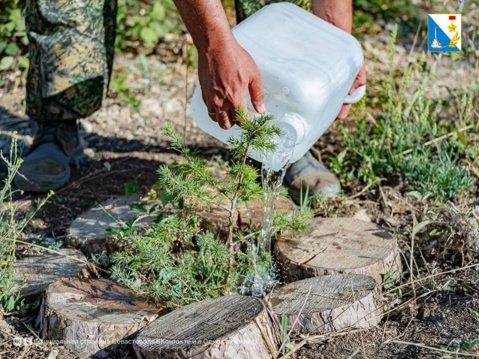 ���������� ����������� ��������� � ����� ������