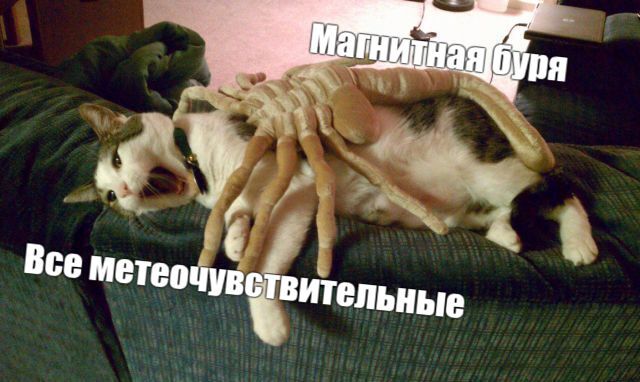 � ����������� ����� ������� ��������� ��������� �����